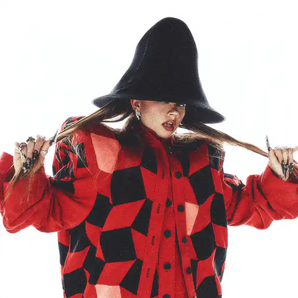 Artist Image 4